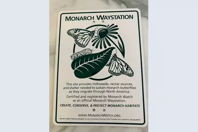 107 W Larue Street, Streator, IL 61364 - Photo 27