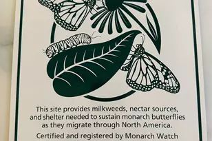 107 W Larue St, Streator, IL 61364 - Photo 27