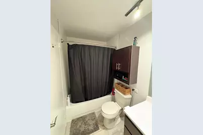 8 W Chestnut Street #21F, Chicago, IL 60610 - Photo 11