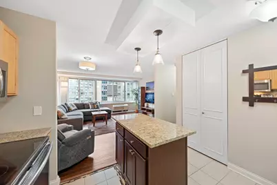 211 E Ohio Street #1401, Chicago, IL 60611 - Photo 13