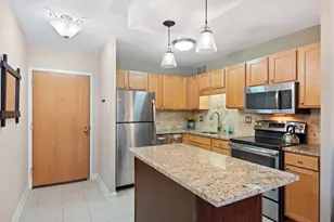 211 E Ohio St, Chicago, IL 60611 - Photo 9