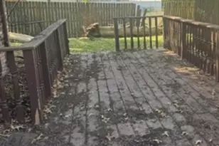 [Address not provided], Park Forest, IL 60466 - Photo 3