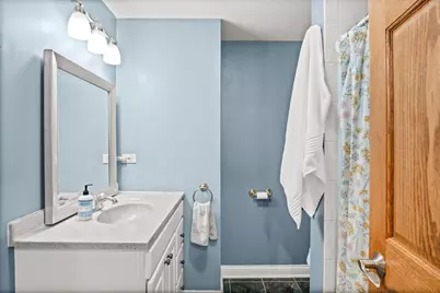 5N661 Leola Lane, Saint Charles, IL 60175 - Photo 39