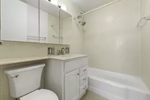 4800 S Chicago Beach Dr, Chicago, IL 60615 - Photo 17