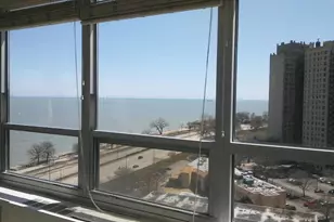 4800 S Chicago Beach Dr, Chicago, IL 60615 - Photo 9