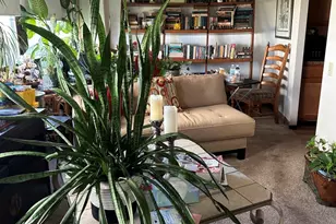 4850 S Lake Park Ave, Chicago, IL 60615 - Photo 11