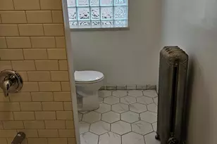 4751 S Forrestville Ave, Chicago, IL 60615 - Photo 15