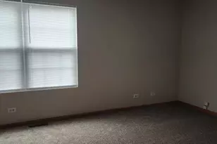 4561 Garritano St, Yorkville, IL 60560 - Photo 5