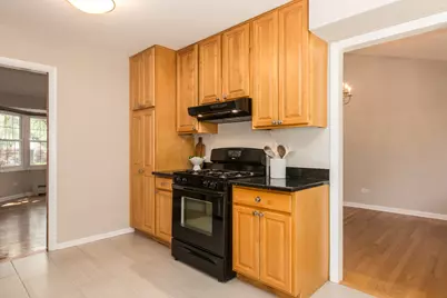 1008 N Newberry Lane, Mount Prospect, IL 60056 - Photo 9