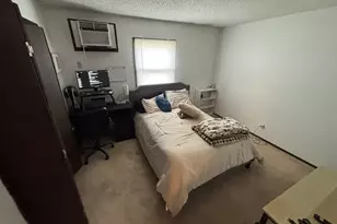 261 Mohawk Dr, Bourbonnais, IL 60914 - Photo 11