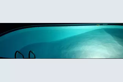 1042 Catalpa Court, Beecher, IL 60401 - Photo 27