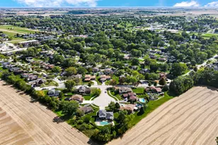 1042 Catalpa Ct, Beecher, IL 60401 - Photo 33