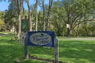 156 Blueberry Rd, Libertyville, IL 60048 - Photo 29