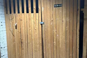 3638 N Pine Grove Ave, Chicago, IL 60613 - Photo 21