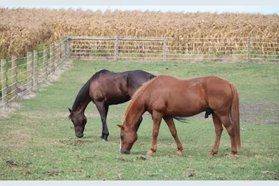 1985 N 670 E Road, Gilman, IL 60938 - Photo 47