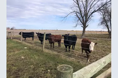 1985 N 670 E Road, Gilman, IL 60938 - Photo 45