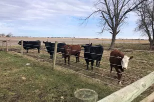 1985 N 670 East Rd, Gilman, IL 60938 - Photo 45