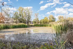 1201 Oak Ridge Dr, Streamwood, IL 60107 - Photo 33