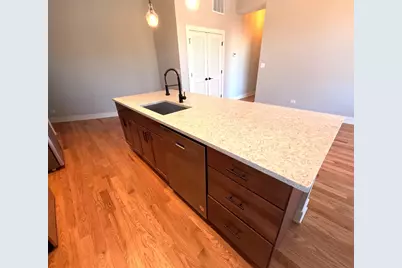 3473 S Archer Avenue #301, Chicago, IL 60608 - Photo 3