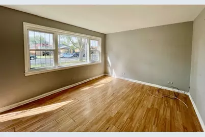 11741 S Laflin Street, Chicago, IL 60643 - Photo 3