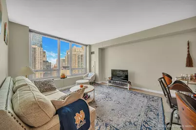 33 W Ontario Street #33i, Chicago, IL 60654 - Photo 9