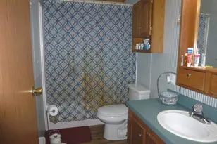 6009 Park Rd, Clifton, IL 61727 - Photo 11