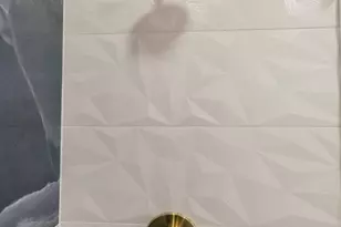 2949 W 25th Pl, Chicago, IL 60608 - Photo 39