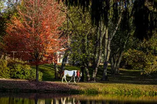 204 Country Commons Rd, Trout Valley, IL 60013 - Photo 41