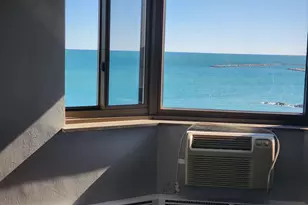 7337 S South Shore Dr, Chicago, IL 60649 - Photo 5