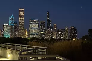 1235 S Prairie Ave, Chicago, IL 60605 - Photo 43