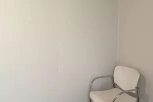 2906 S Lowe Ave, Chicago, IL 60616 - Photo 3