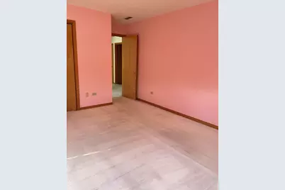 12901 S Muskegon Avenue, Chicago, IL 60633 - Photo 19