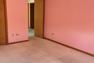 12901 S Muskegon Ave, Chicago, IL 60633 - Photo 19