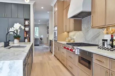 1633 W Balmoral Avenue, Chicago, IL 60640 - Photo 5