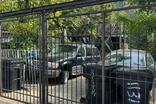 1132 S Sacramento Blvd, Chicago, IL 60612 - Photo 7