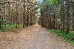 5810 W Lightsville Rd, Leaf River, IL 61047 - Photo 67