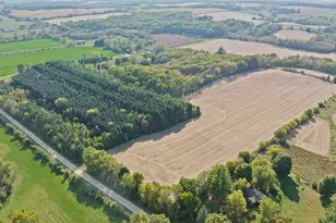 5810 W Lightsville Rd, Leaf River, IL 61047 - Photo 11