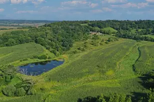 2287 W Hanover Rd, Hanover, IL 61041 - Photo 29