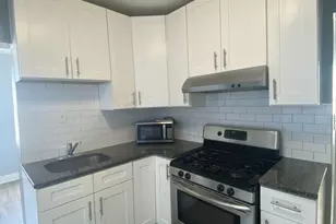 4812 S Elizabeth St, Chicago, IL 60609 - Photo 5