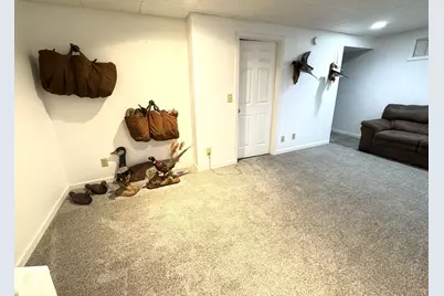 26-58 Blackwood Court, Lake Carroll, IL 61046 - Photo 23