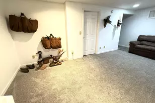 2658 Blackwood Ct, Lake Carroll, IL 61046 - Photo 23