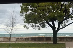 5488 S Everett Ave, Chicago, IL 60615 - Photo 29