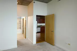 1720 S Michigan Ave, Chicago, IL 60616 - Photo 11