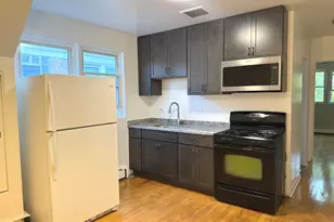 4919 N Kedvale Ave, Chicago, IL 60630 - Photo 13