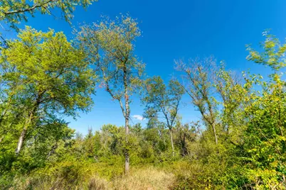 35100 N Indian Trail, Ingleside, IL 60041 - Photo 19