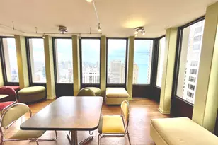 100 E Walton Pl, Chicago, IL 60611 - Photo 17