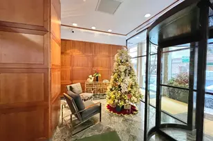 100 E Walton Pl, Chicago, IL 60611 - Photo 19