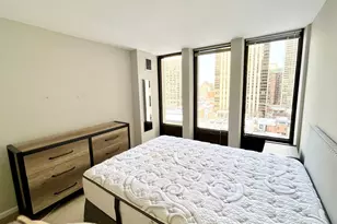 100 E Walton Pl, Chicago, IL 60611 - Photo 9