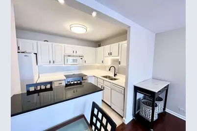 100 E Walton Place #14A, Chicago, IL 60611 - Photo 3