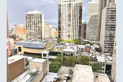 100 E Walton Place #14A, Chicago, IL 60611 - Photo 5